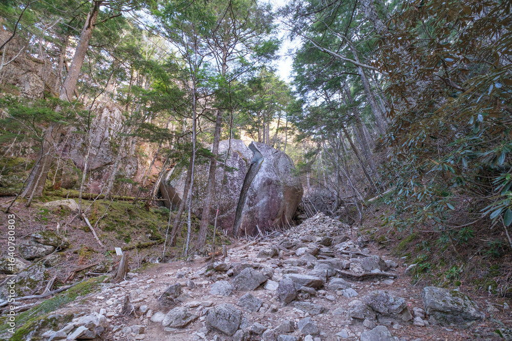 Fototapeta premium 瑞牆山の登山道