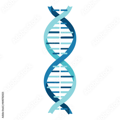 A stylized illustration of a DNA double helix, showcasing its helical structure and base pairs.