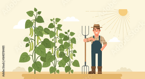 Happy Farmer In The Field Cultivating Green Beans Under The Warm Summer Sun