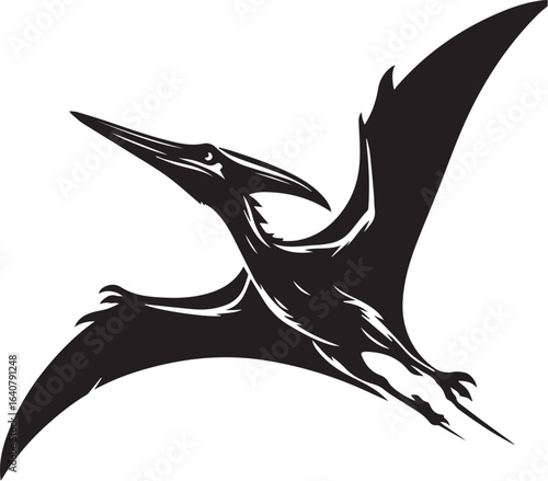 Flying Pteranodon dinosaur bird Silhouette Vector