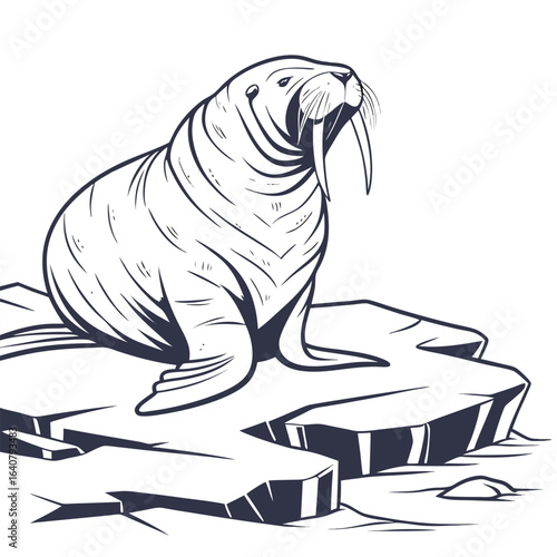 Walrus on Ice Illustration
