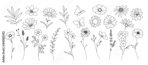 Floral and botanical doodle element vector. Set of leaf, foliage wildflowers, plants, bloom, herb and butterfly. Hand drawn of blossom spring season vectors for decor, website, wedding card and shop.