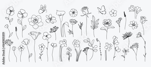 Floral and botanical doodle element vector. Set of leaf, foliage wildflowers, plants, bloom, herb and butterfly. Hand drawn of blossom spring season vectors for decor, website, wedding card and shop.
