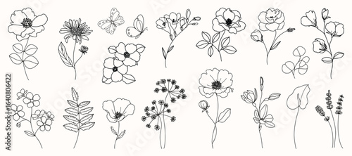 Floral and botanical doodle element vector. Set of leaf, foliage wildflowers, plants, bloom, herb and butterfly. Hand drawn of blossom spring season vectors for decor, website, wedding card and shop.