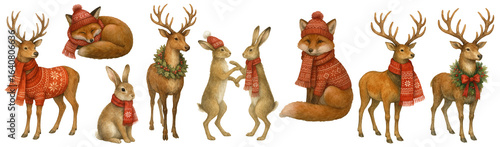 Photography Freehand watercolor set Christmas forest animals of deer, reindeer, foxes, hares wearing festive winter scarves, sweaters, hats