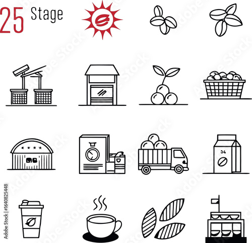 Vector art of coffee production process stages and elements, isolated on white background