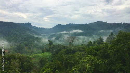 Foggy Morning at Meratus Mountain, Borneo Rainforest, Indonesia