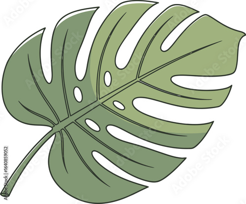 Minimalist Monstera Leaf Botanical Vector Illustration