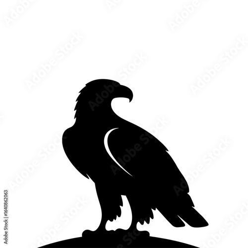 Silhouette of a majestic eagle standing tall on a branch with wings folded in a graceful pose