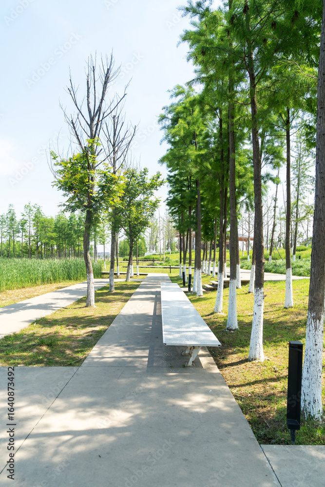 Obraz premium spring park and modern city