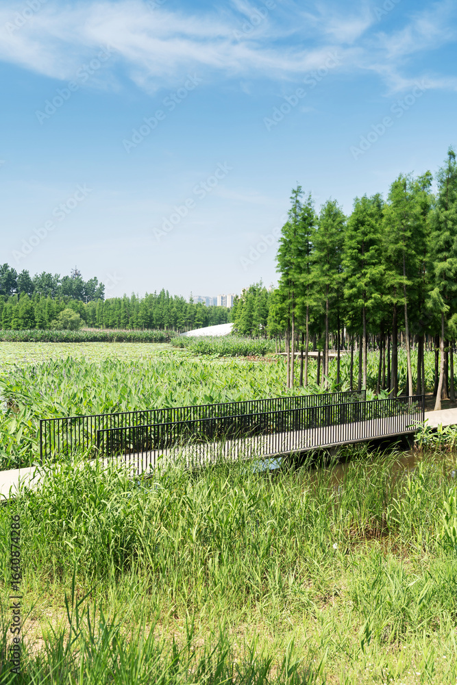 Fototapeta premium spring park and modern city