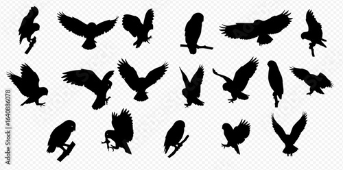 Dynamic collection of black owl silhouettes in various flight and perched positions.