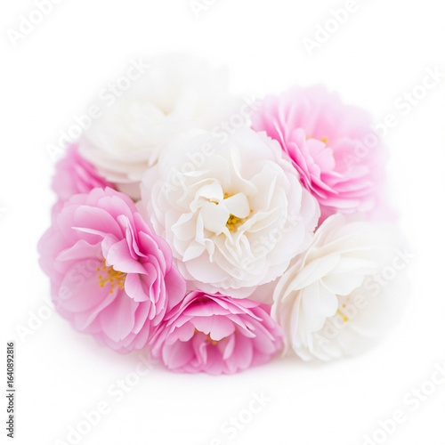 pink and white flowers on white background