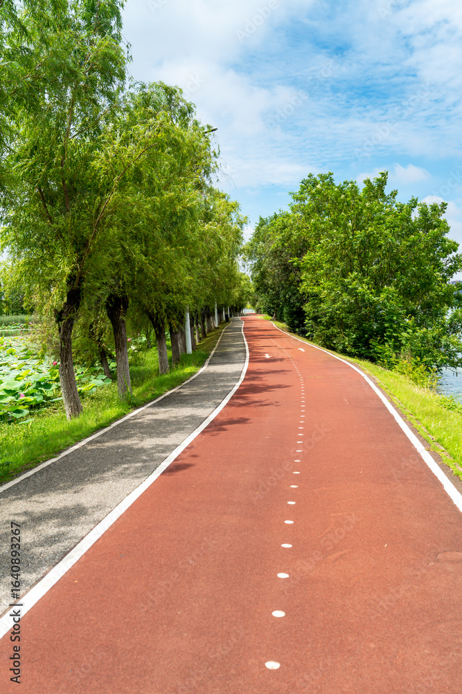 Obraz premium New pathway and beautiful trees track for running or walking and cycling relax in the park