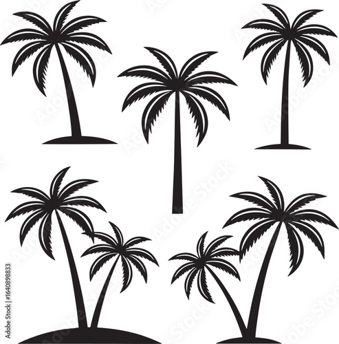Black palm trees silhouettes on white background with ground