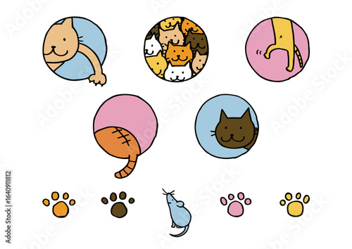 穴を覗く猫