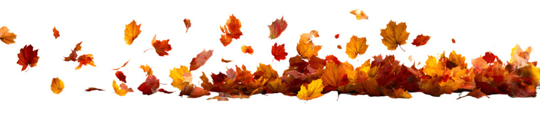 autumn leaves flying or floating isolated on transparent background. autumn leaves blown by the wind
