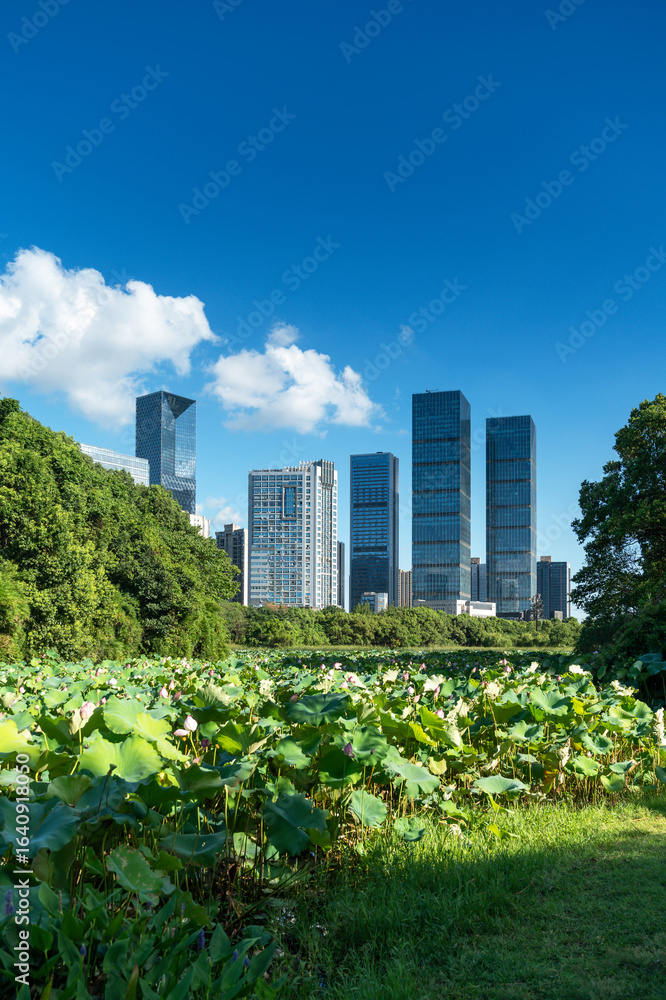 Fototapeta premium spring park and modern city
