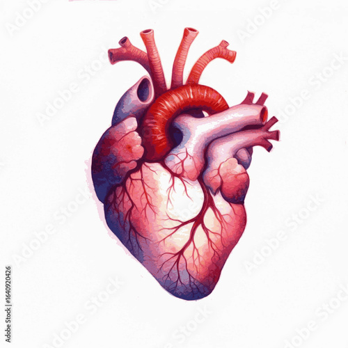 Rhythm Bloom human heart isolated watercolor vector illustration svg
