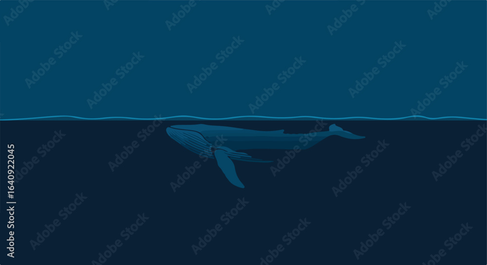 Obraz premium Swimming whale below the water's surface in a blue ocean environment