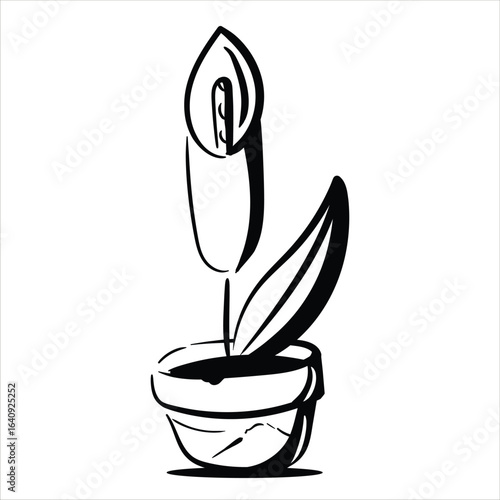 flower notion new_calla lilly
