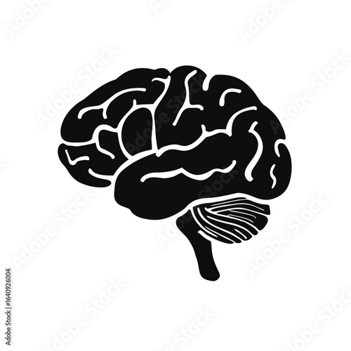Isolated black silhouette of a human brain displaying its anatomical structure and lobes. Concept for neurological research, cognitive functions and educational resource