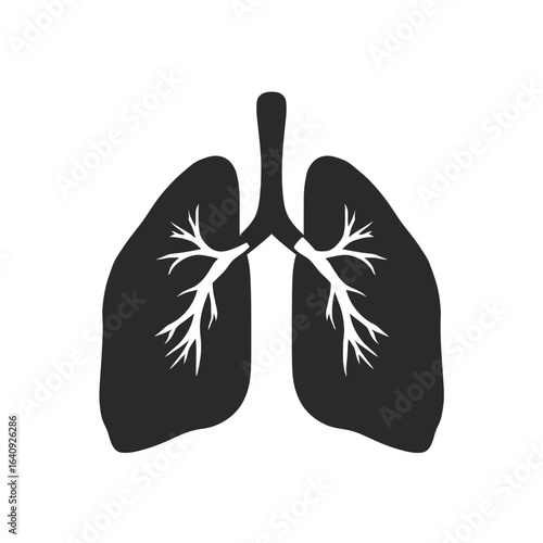 Silhouette of human lungs with bronchioles for medical illustrations and infographics, concept for pulmonology research, respiratory health awareness and anatomy education