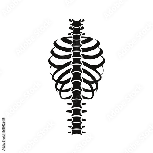 Black and white illustration of human ribcage and spine anatomy with detailed bone structure, concept for medical education anatomical studies and skeletal research visual aids