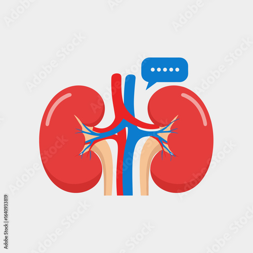 Understanding kidney health and function the vital role of these remarkable organs