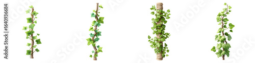 Ivy Vine Collection: Green Climbing Plant Illustrations on White Background