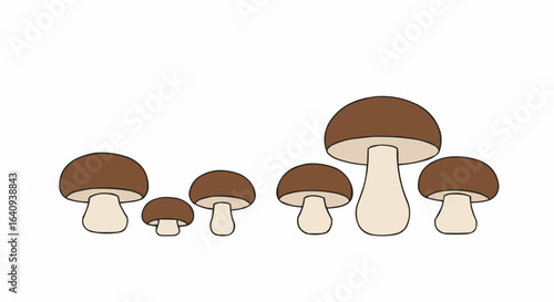 A group of brown mushrooms in various sizes against a clean background.