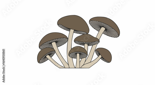 A cluster of mushrooms, artfully illustrated.