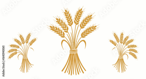 Aesthetic illustration of wheat ears, symbolizing harvest and agriculture.