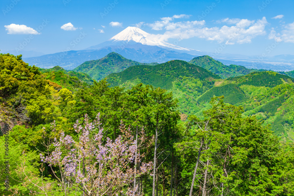Obraz premium 葛城山から眺める富士山 静岡県伊豆の国市にて