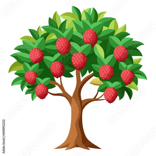 Lychee Tree Vector Illustration