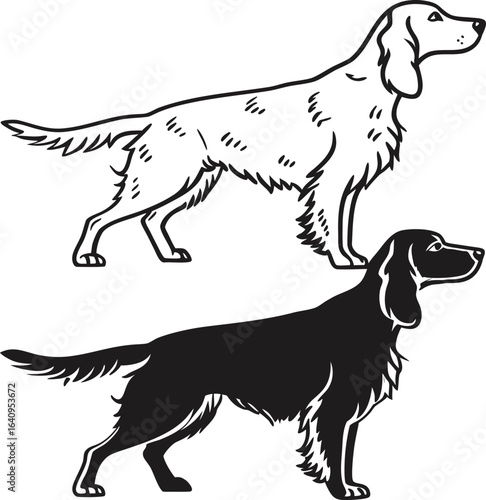 English Setter Dog Vector Set  One Outline and One Solid Black Silhouette