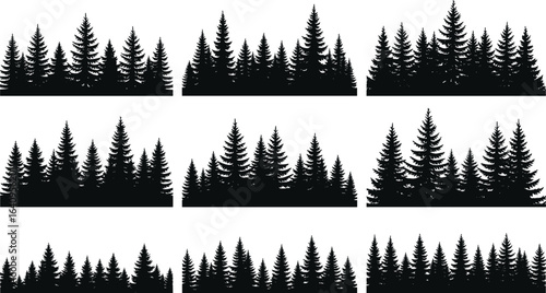 Silhouette of pine tree forest, evergreen conifers, black woodland landscape, vector illustration set, natural scenery, wild nature elements bundle