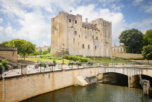 chateau de Niort sur les bords de la Sèvre Niortaise en été, en région  Nouvelle-Aquitaine, département des Deux-Sèvres