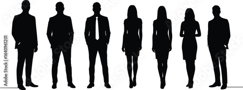 Business people silhouette, corporate team illustration, standing group, formal wear, male and female professionals, teamwork concept, office staff vector.