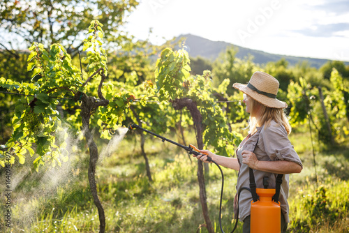 Принти на полотні Woman farmer spraying vineyard using crop sprayer for insecticide application