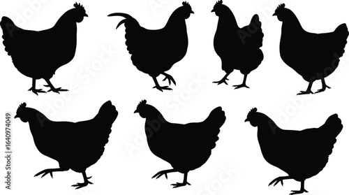 Black chicken silhouette set, poultry farming vector, farm hen illustrations, rural animal icons, backyard chicken silhouettes, livestock bird graphics