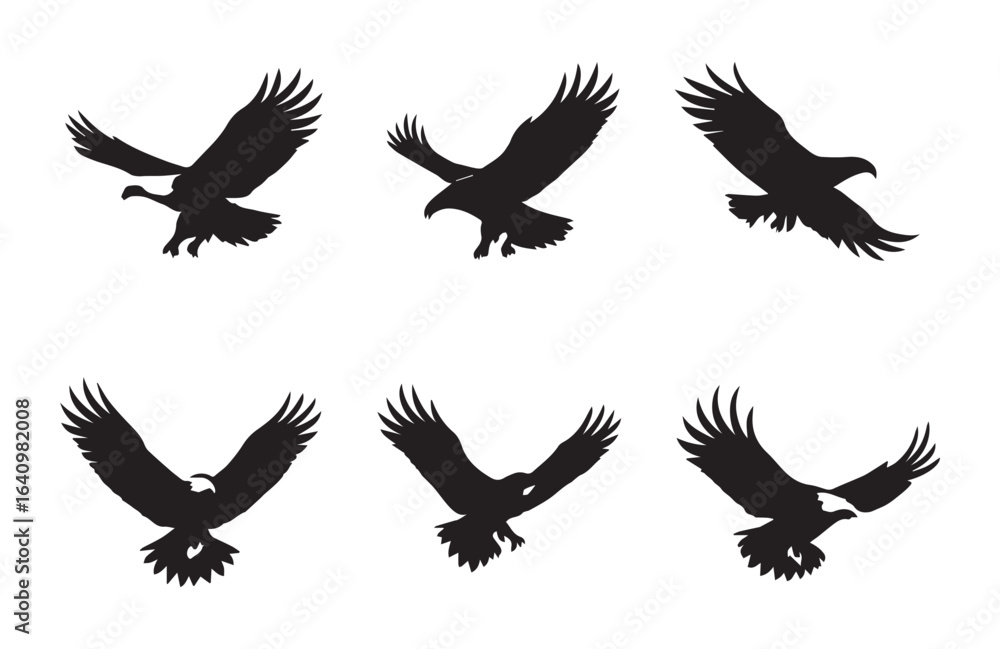 Obraz premium Six black eagle silhouettes in flight on white background bird