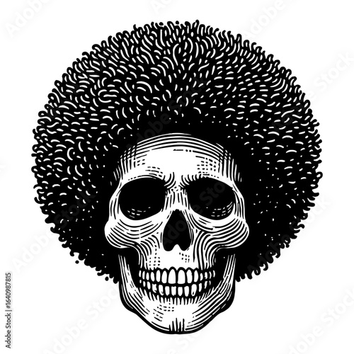 Detailed Skull with Large Afro Hairstyle Front View Black and White Outline Line Art Drawing