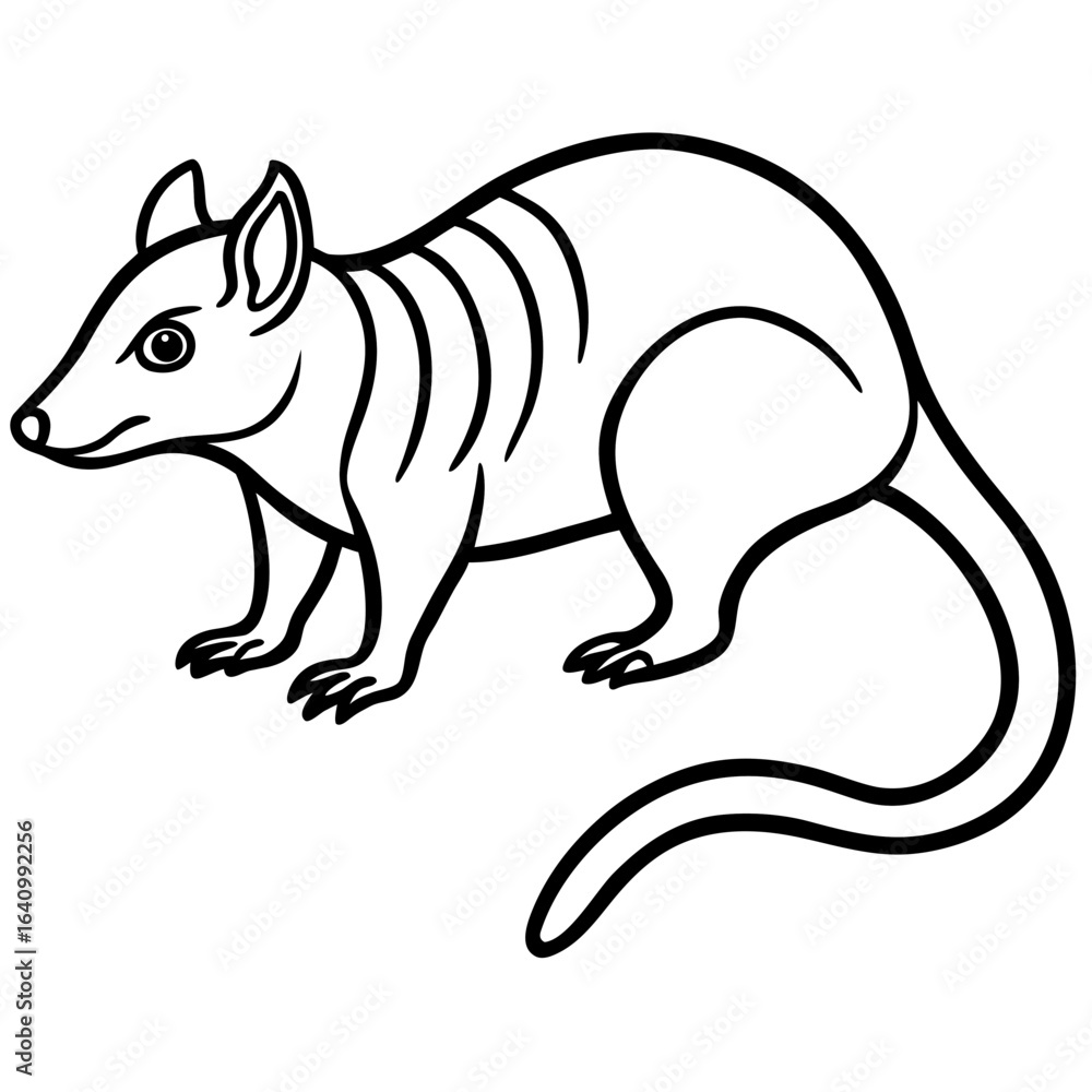 Fototapeta premium Tree shrew line art vector