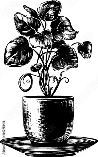 Hand drawn engraved illustration of ceramic plant pot with lush foliage for retro design