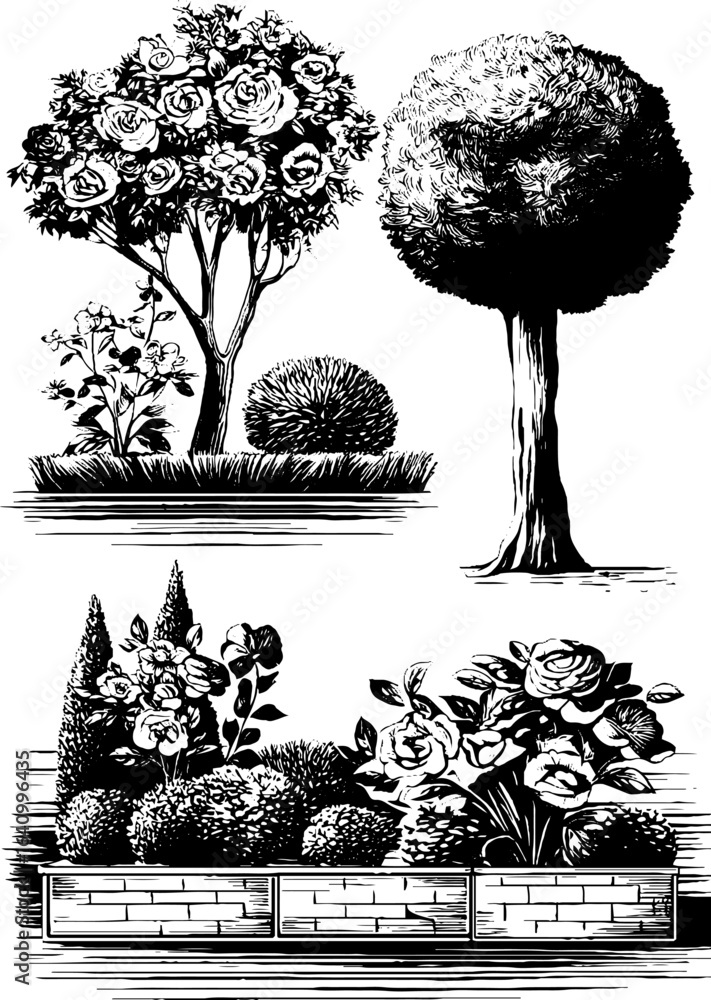 Fototapeta premium Engraved botanical illustration set featuring flower bed layouts and trees for garden planning
