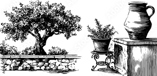 Engraved illustration set of mediterranean olive tree and vintage pot on stone wall for design projects