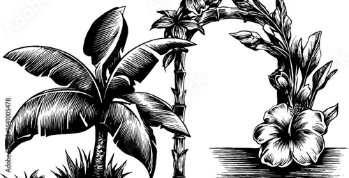 Engraved tropical palm frond set with bamboo and hibiscus design for prints or posters