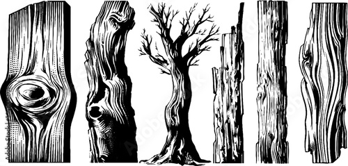 Engraved set of wood grain and tree silhouette illustrations for retro design projects