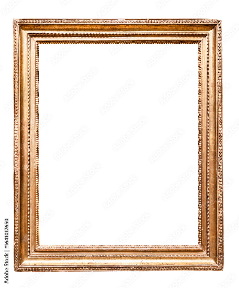 vertical classic golden picture frame cutout vertical classic golden picture frame cutout